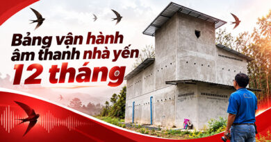 Bảng vận hành nhà yến 12 tháng