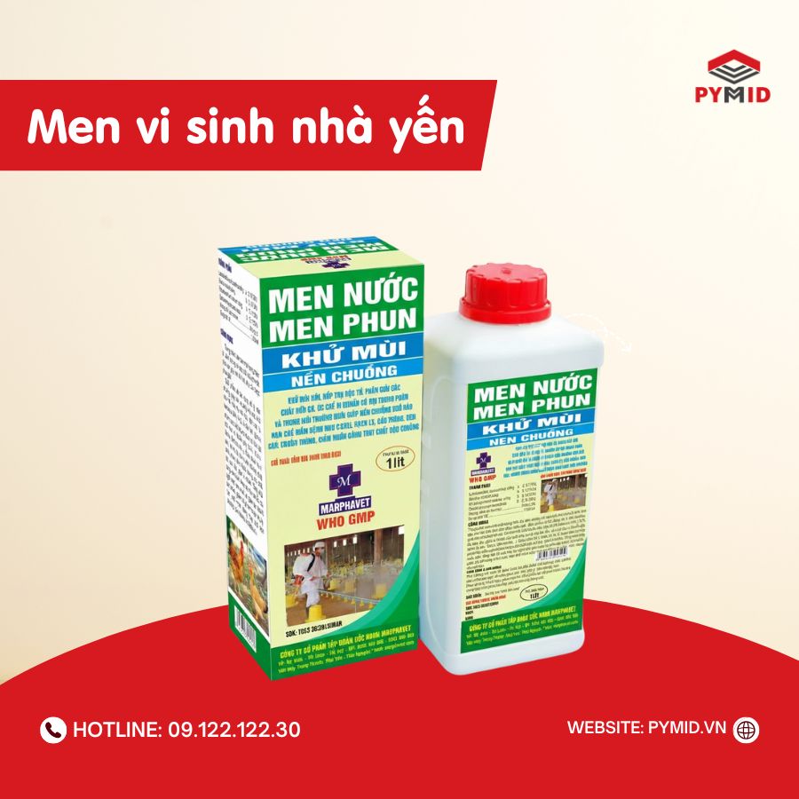 Vi sinh nhà yến dạng nước