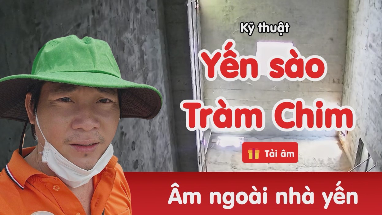 Âm thanh nhà yến Yến sào Tràm Chim - Cậu Ba Yến